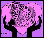 Hearts and Hands Animal Rescue